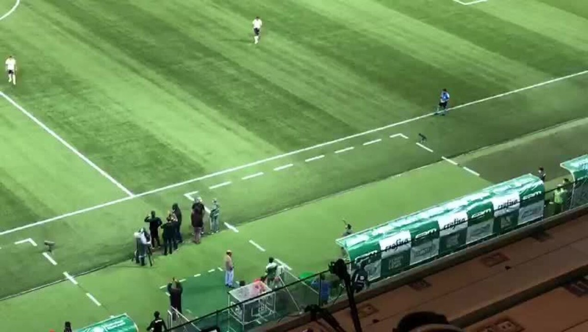 Torcida Do Palmeiras Grita O Nome De Abel E T Cnico Agradece Socos