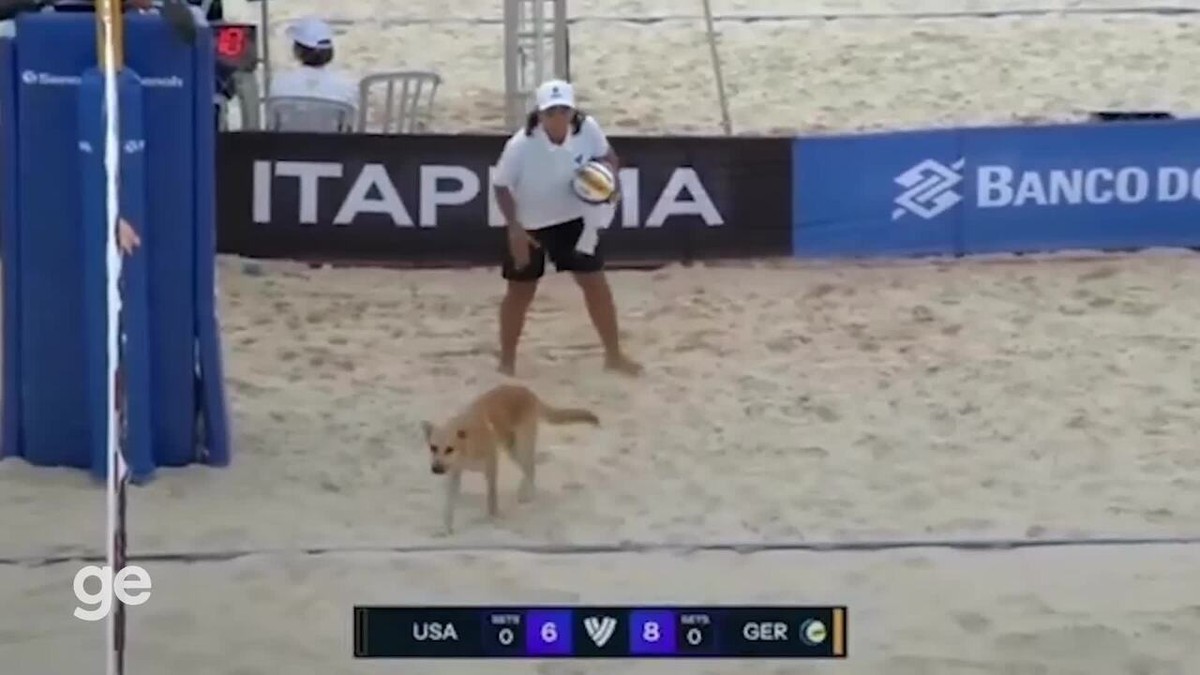 Cachorro Invade A Quadra Deita E Interrompe Jogo De Campe Ol Mpica