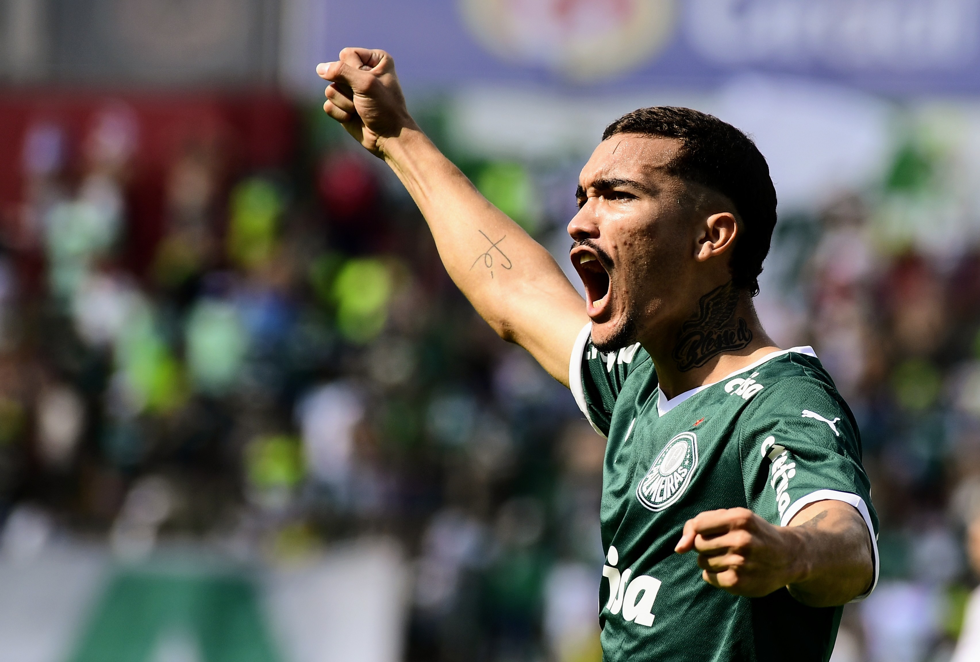 Vila Nova acerta com atacante Ruan Ribeiro, do Palmeiras