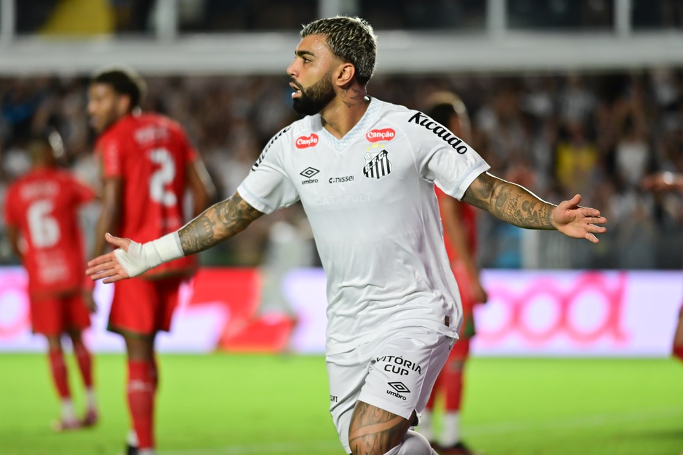 Gabigol comemora gol do Santos contra Velo Clube — Foto: Jota Erre/AGIF