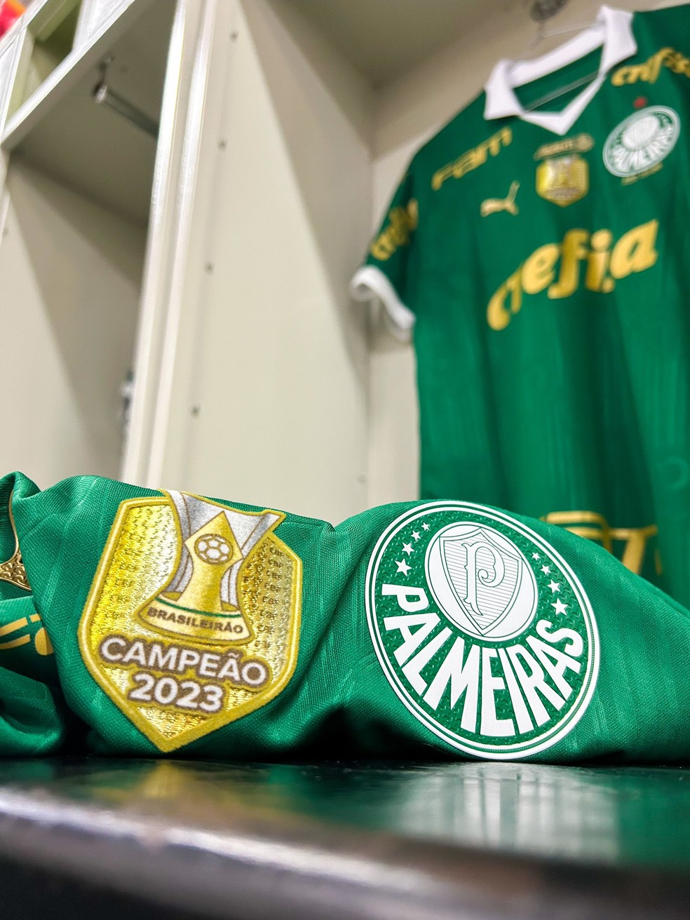 Camisa do Palmeiras antes de jogo contra o Botafogo  Foto: Divulgao/Palmeiras