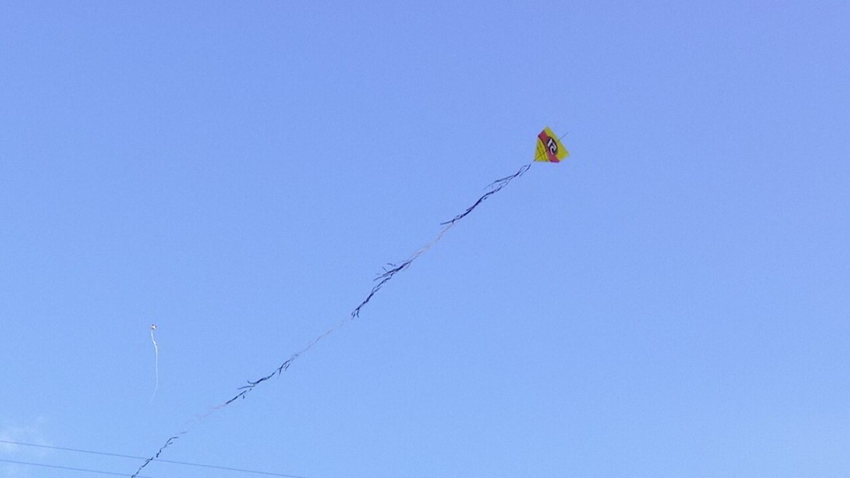 51 é pinga! Pipa com provocação ao Palmeiras paralisa clássico contra o Corinthians; veja vídeo