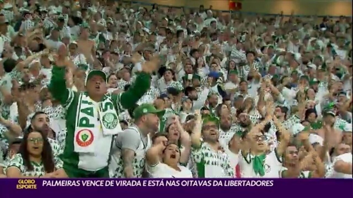 Detailed Épico! Monumental! Palmeiras Goleia Ldu Quito E Está Na Final Da Libertadores Picture for Desktop