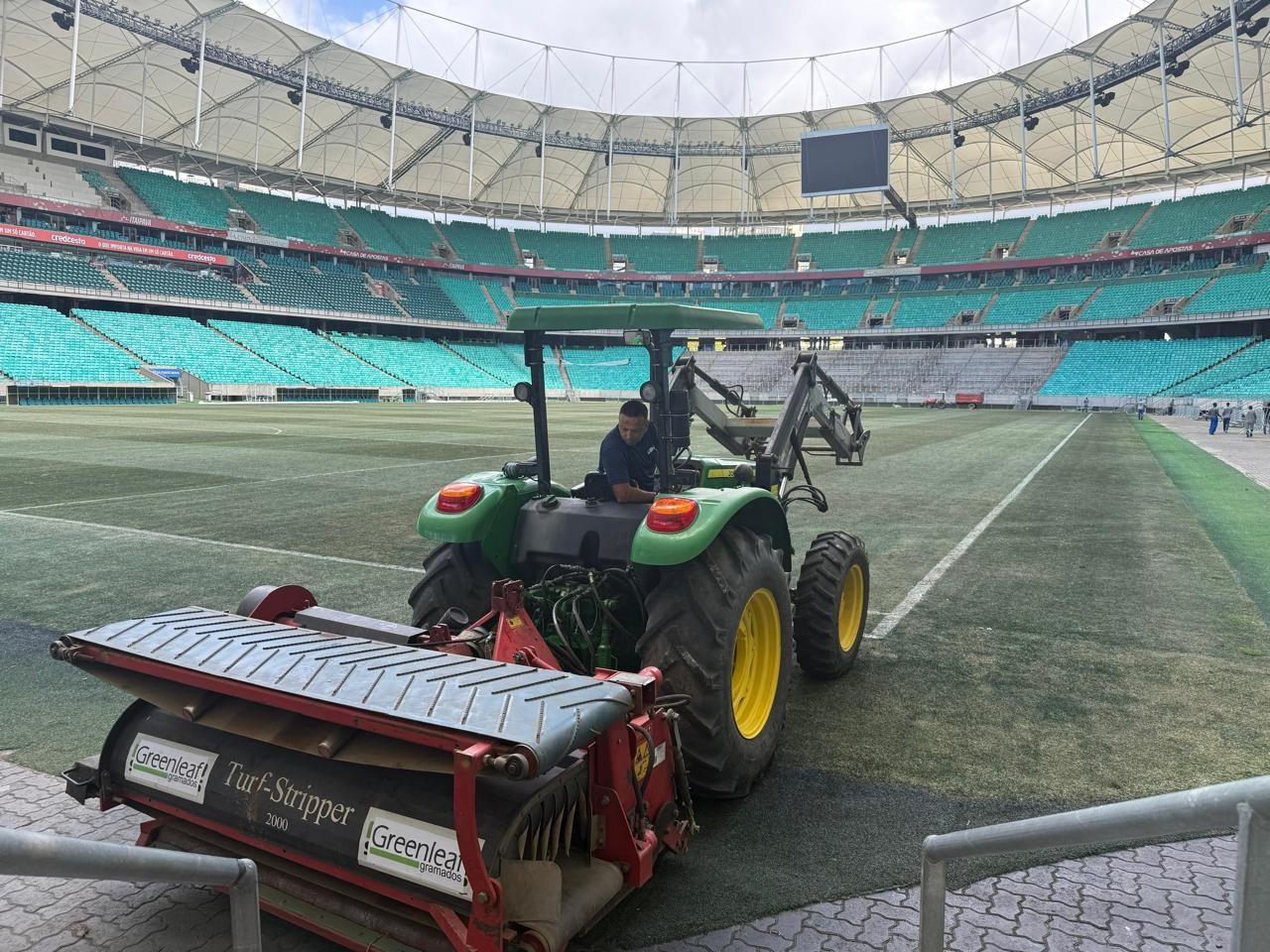 Após críticas, Arena Fonte Nova decide fazer troca do gramado
