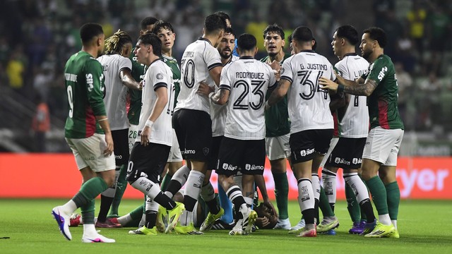 Confusão entre jogadores de Palmeiras e Botafogo