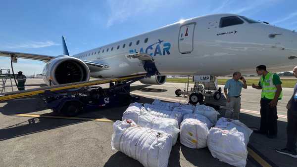 Avião do Palmeiras leva mantimentos e veterinários para cuidar de animais em Canoas