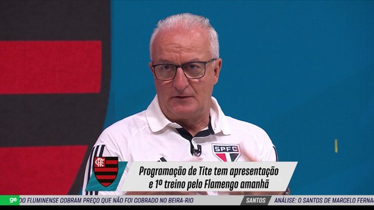 PC Oliveira analisa relato de comissão da CBF sobre gol anulado do Vasco:  Discordo totalmente, seleção sportv