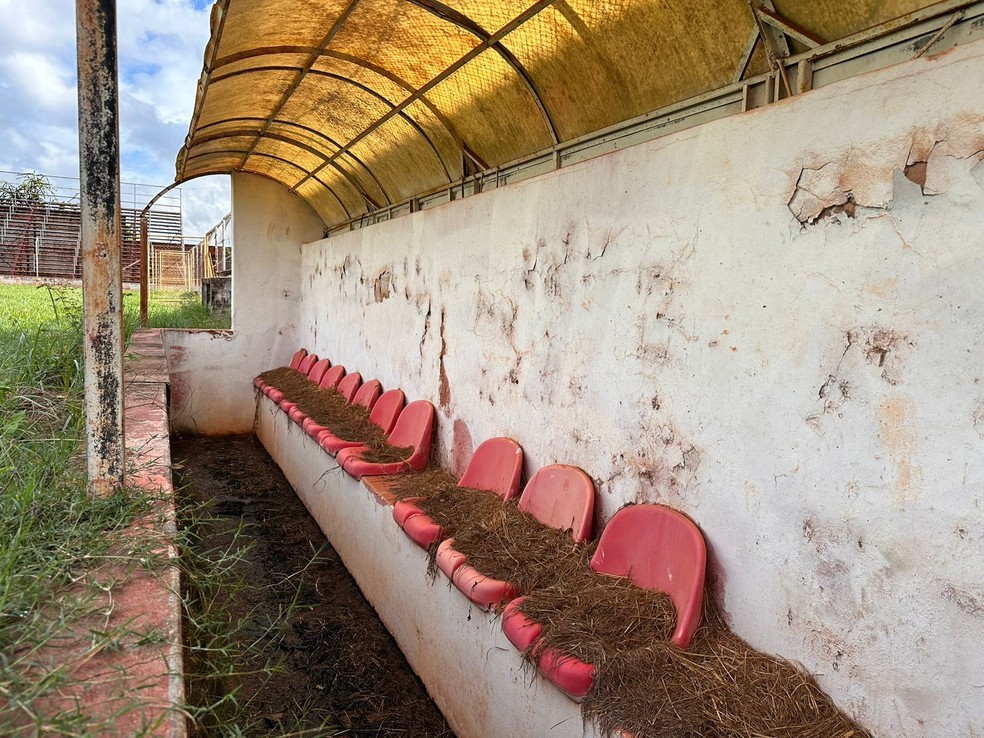 Estádio dos Amaros, em Itápolis — Foto: Bruno Cassucci
