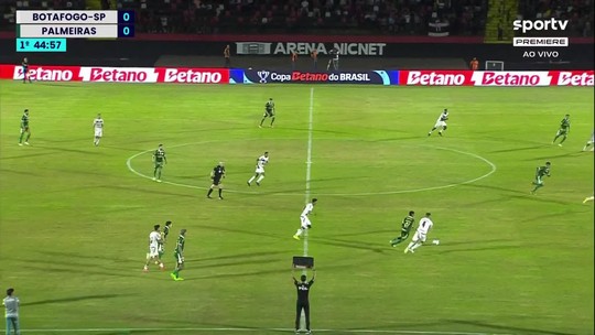 Tudo sobre o Palmeiras na Globo, sportv e ge