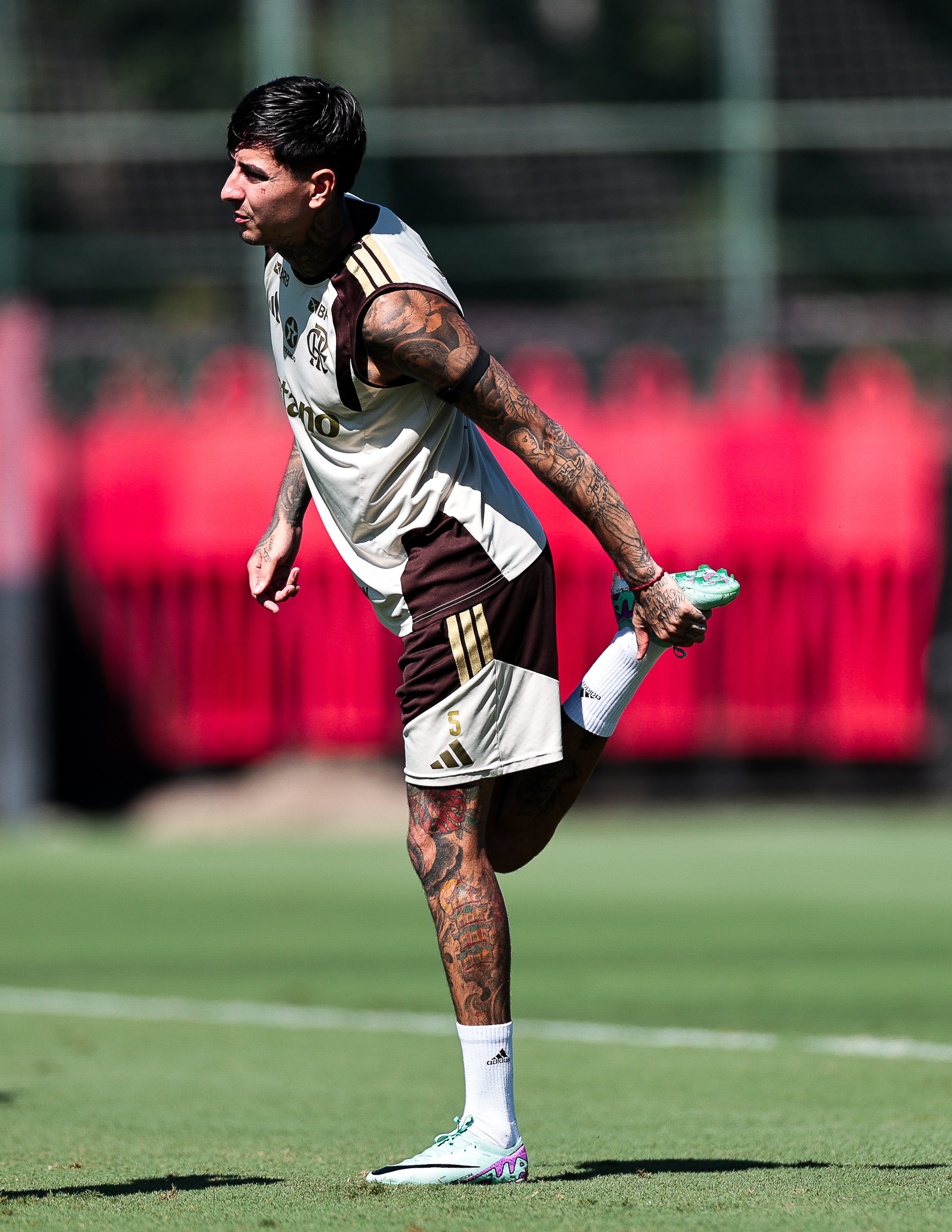 Pulgar retoma trajetória no Flamengo: Desafio à vista pela titularidade no meio-campo