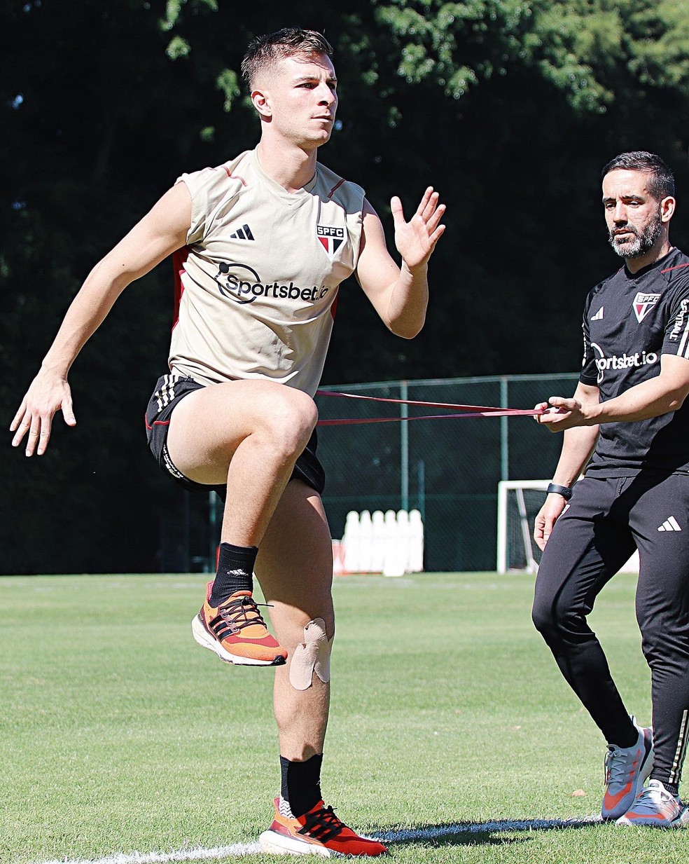 Galoppo ainda pode retornar aos gramados nesta fim de ano — Foto: Rubens Chiri/saopaulofc.net