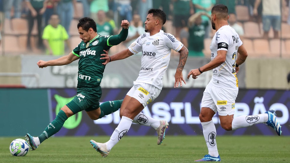 Veiga confirma propostas a jogadores do Palmeiras, mas nega abalo  psicológico: 'Somos maduros