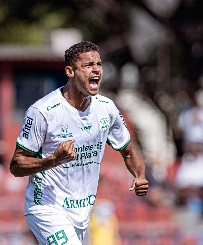 imagem