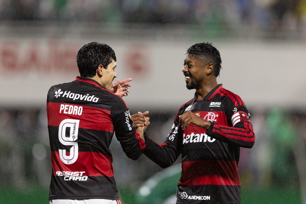 Pedro e Bruno Henrique em Chapecoense x Flamengo � Foto: Liamara Polli/AGIF