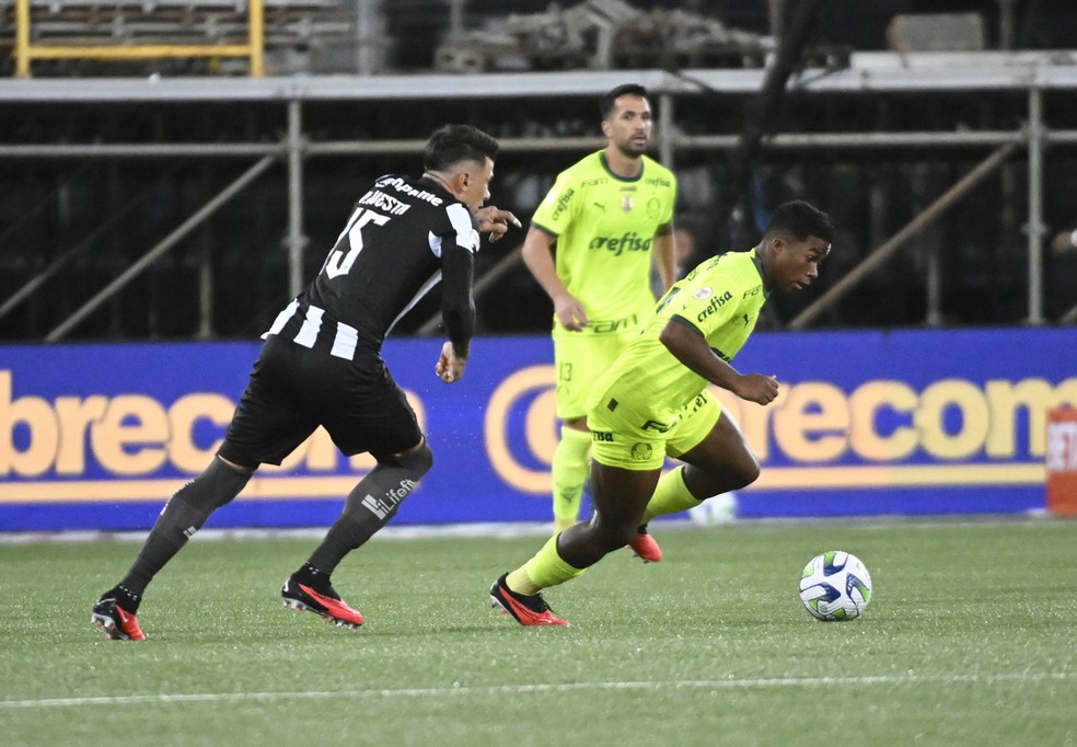 Botafogo x Palmeiras, Victor Cuesta e Endrick — Foto: Andre Durão