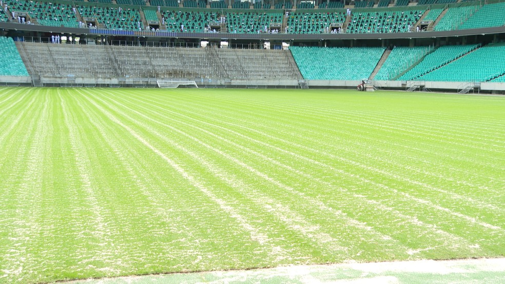 Gramado da Arena Fonte Nova