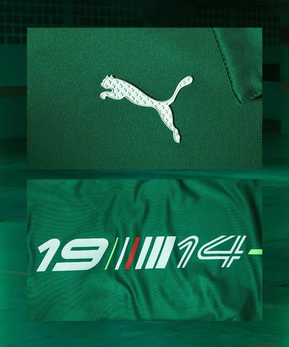 Detalhes da camisa do Palmeiras inspirada no automobilismo e co-criada por Abel Ferreira — Foto: Palmeiras / Divulgação