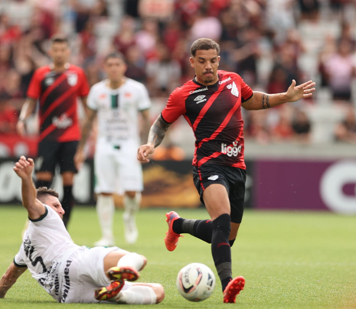 Maringá x Athletico terá torcida única após pedido dos clubes e do ...
