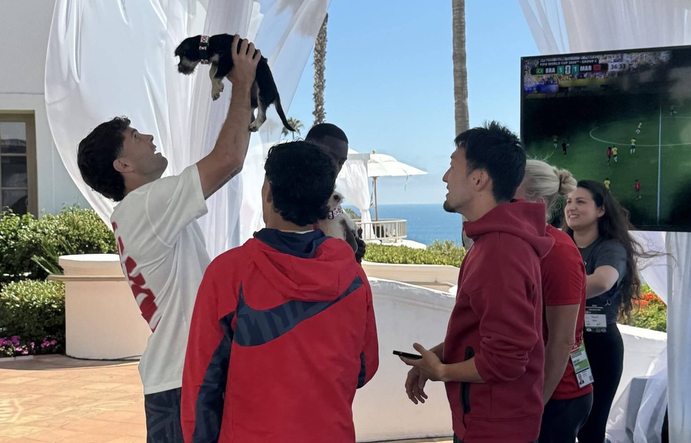 Pulisic com filhote na concentração - cães na seleção