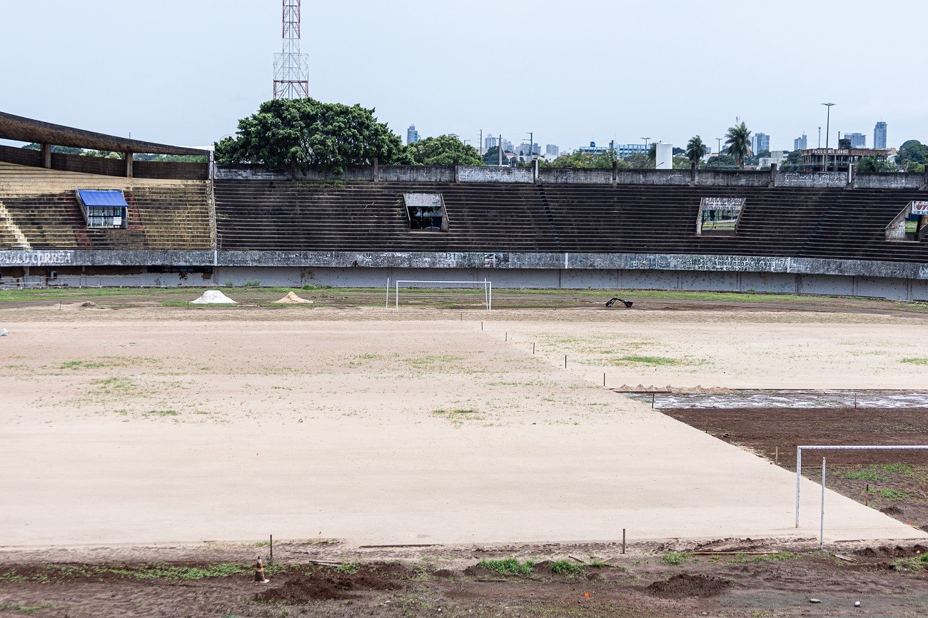 Estádio Morenão: fotos mostram novo gramado começando a brotar após plantio; veja