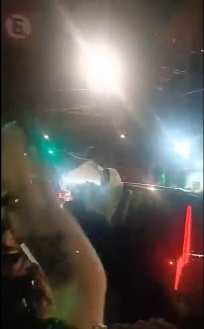 Bad Bunny e a Fúria Verde: Astro faz a festa com torcedores do Palmeiras pós-classificação