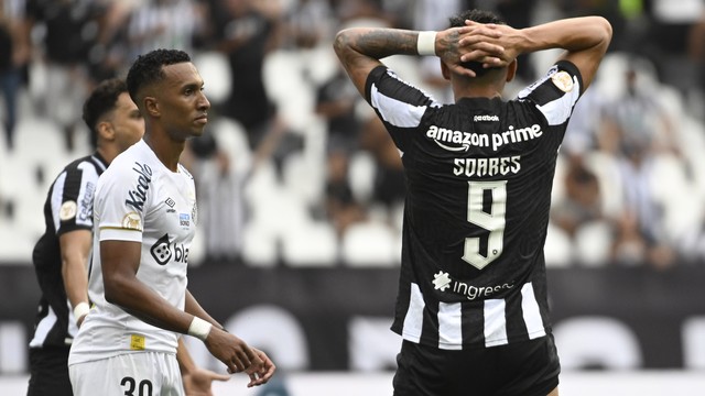 Botafogo 1 x 1 Santos | Campeonato Brasileiro: melhores momentos