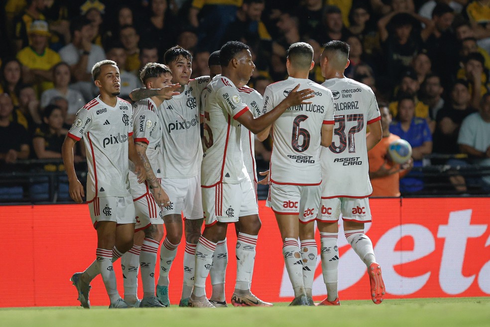 Jogadores do Flamengo comemoram gol de Varela contra o Criciúma — Foto: Leonardo Hubbe/AGIF
