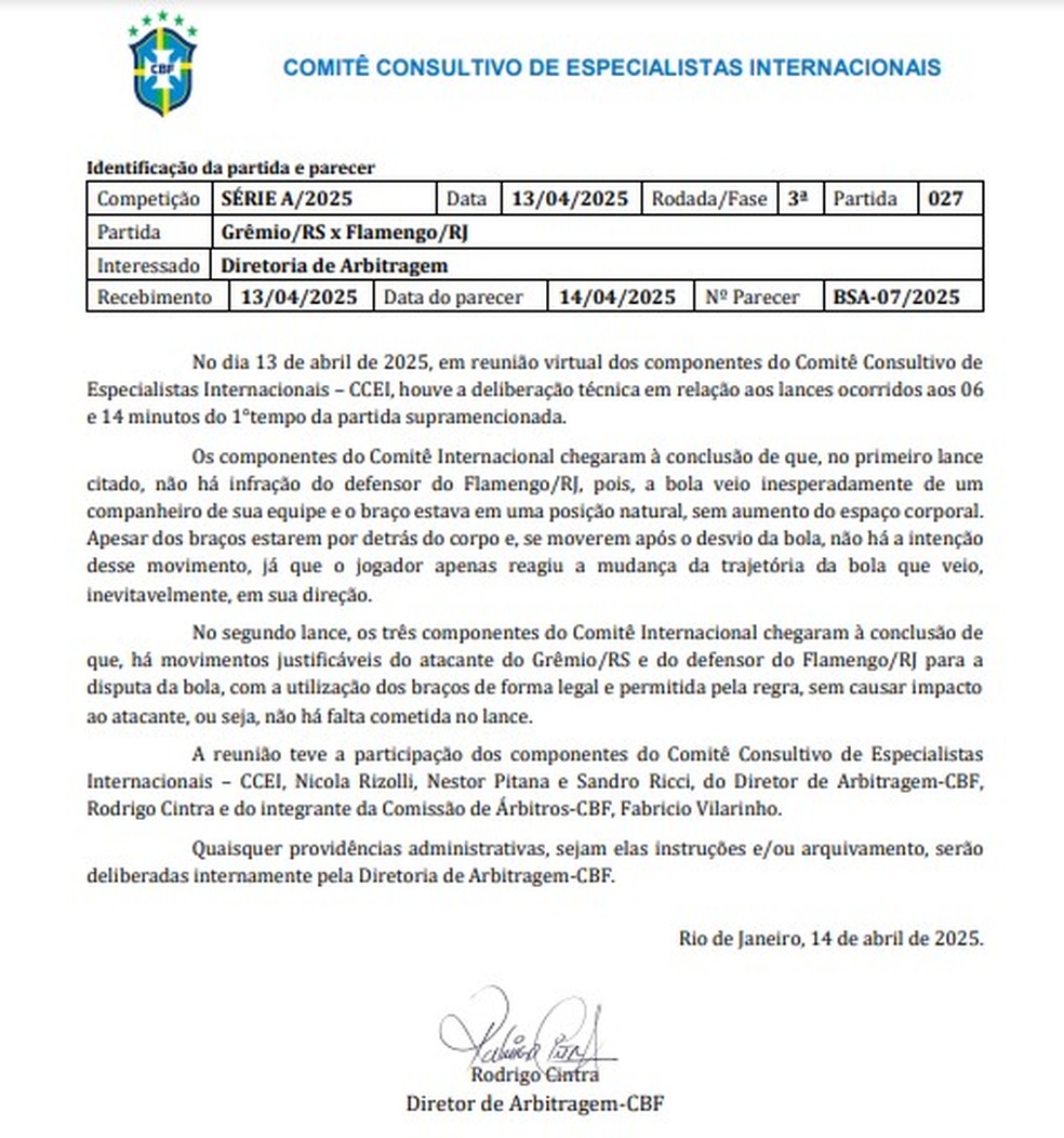 Parecer do comitê de especialistas sobre Flamengo x Grêmio — Foto: Reprodução