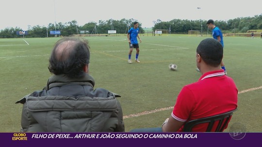 VÍDEOS: veja as reportagens do Globo Esporte sobre o Botafogo