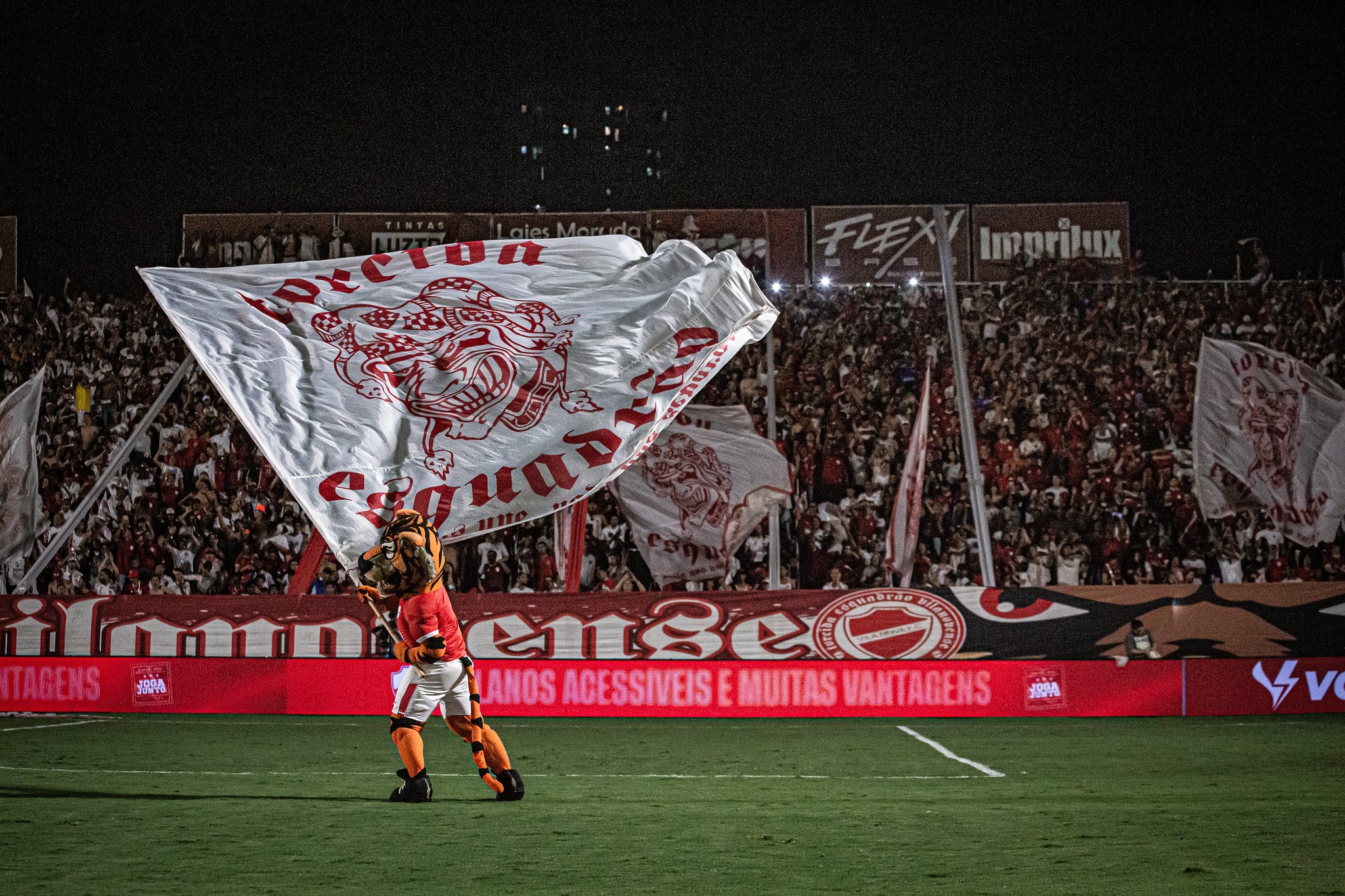 imagem