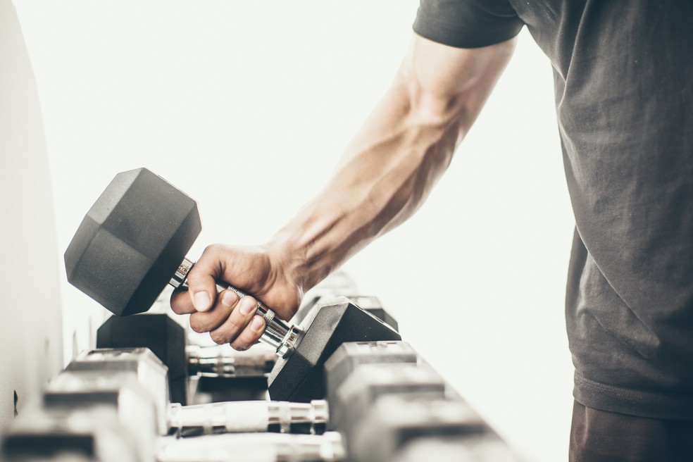 Exercícios com barra ou halter, há diferença na solicitação muscular? -  Treino Mestre