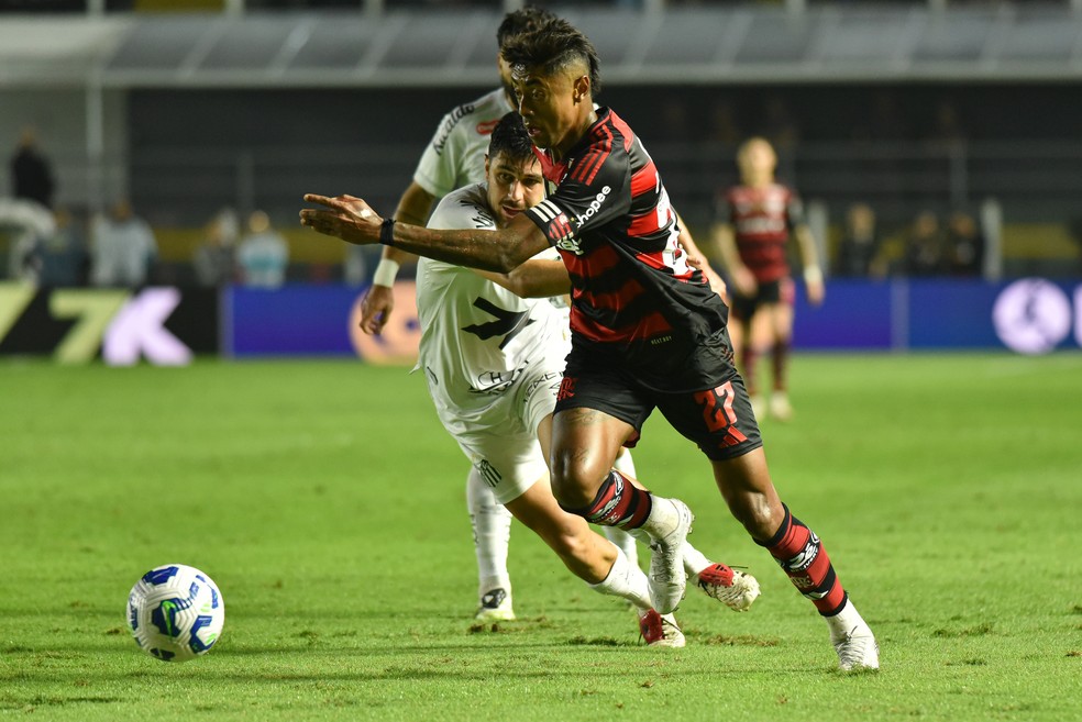 Flamengo teve dificuldades de finalizar contra o Santos  Foto: Jota Erre/AGIF