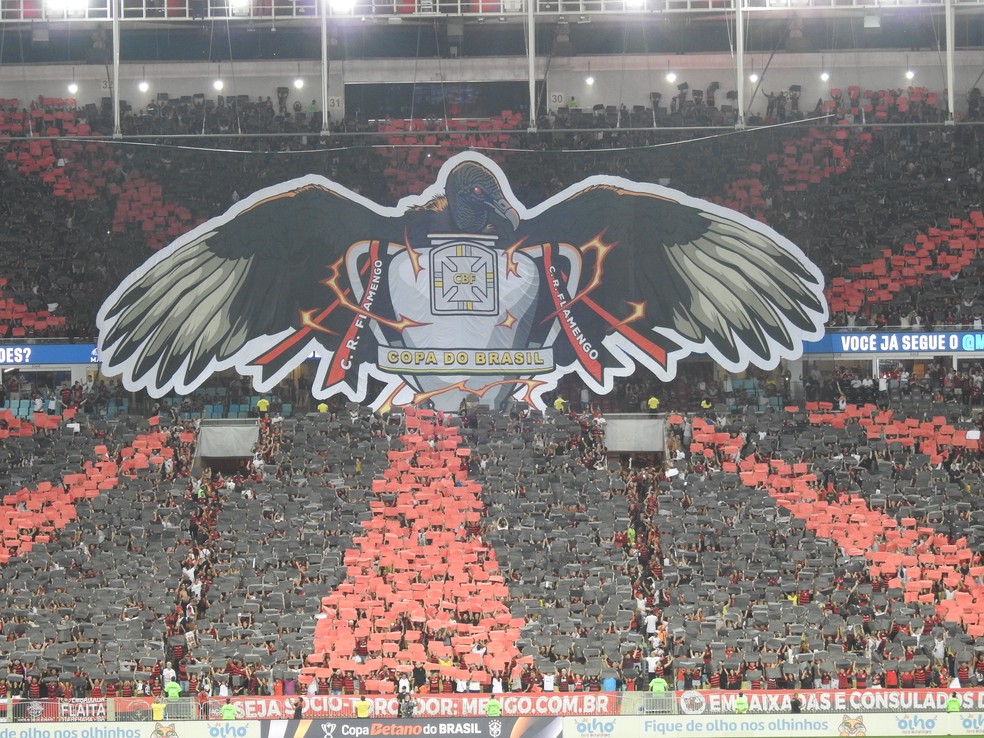 Mascote do Flamengo, o Urubu carrega a taça da Copa do Brasil — Foto: Fred Gomes