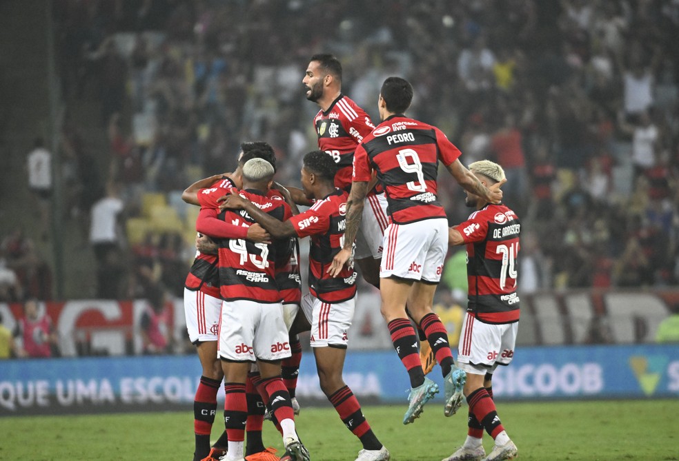 Jogadores do Flamengo comemoram gol de Erick Pulgar contra o Vasco &mdash; Foto: Andr&eacute; Dur&atilde;o