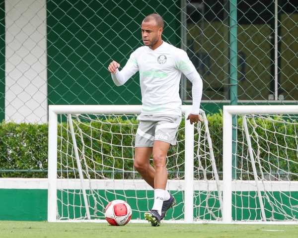 Palmeiras busca liderança geral do Paulista na última rodada de treinamentos.
