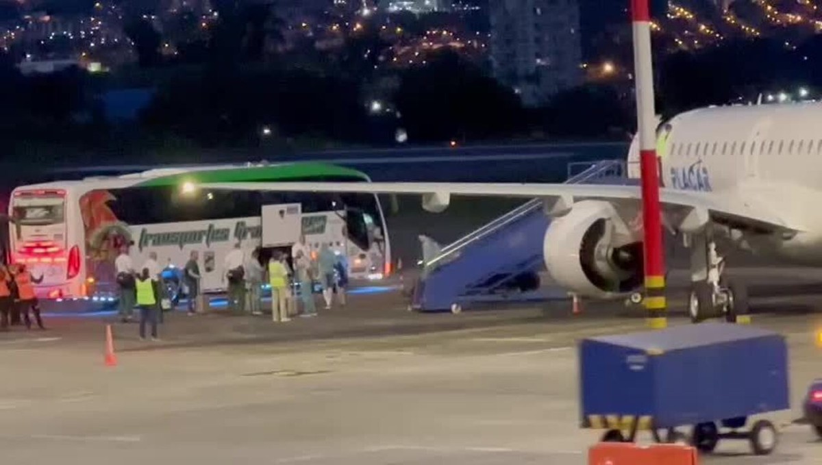 Palmeiras chega à Colômbia para quartas de final da Libertadores sob olhar de torcedores; vídeo
