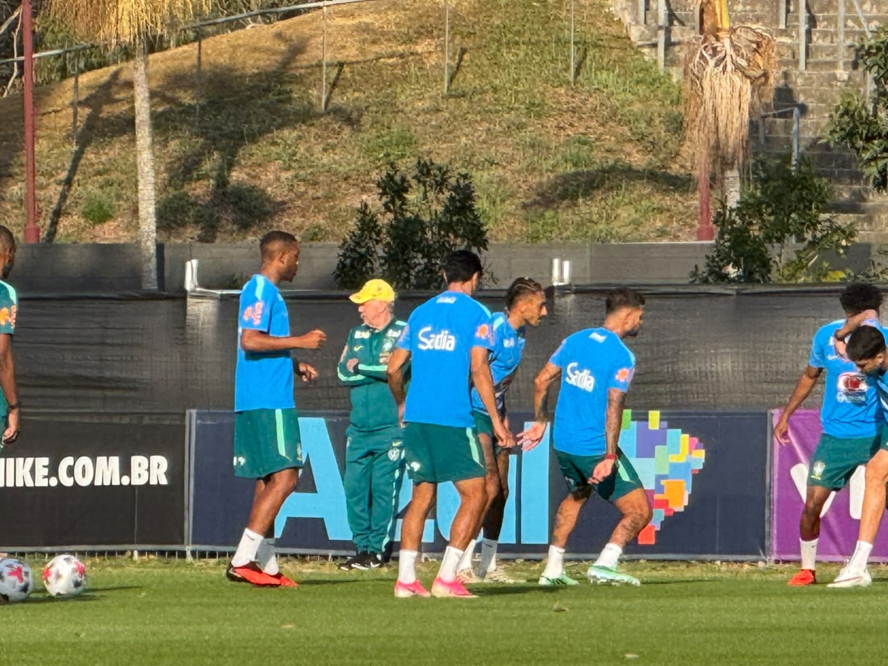 Seleção Brasileira Treina na Austrália: Fãs em Árvores e Ancelotti Comanda