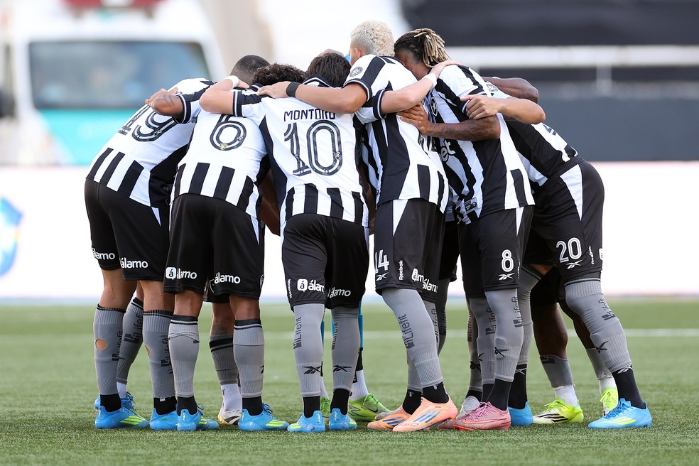 Time do Botafogo em campo