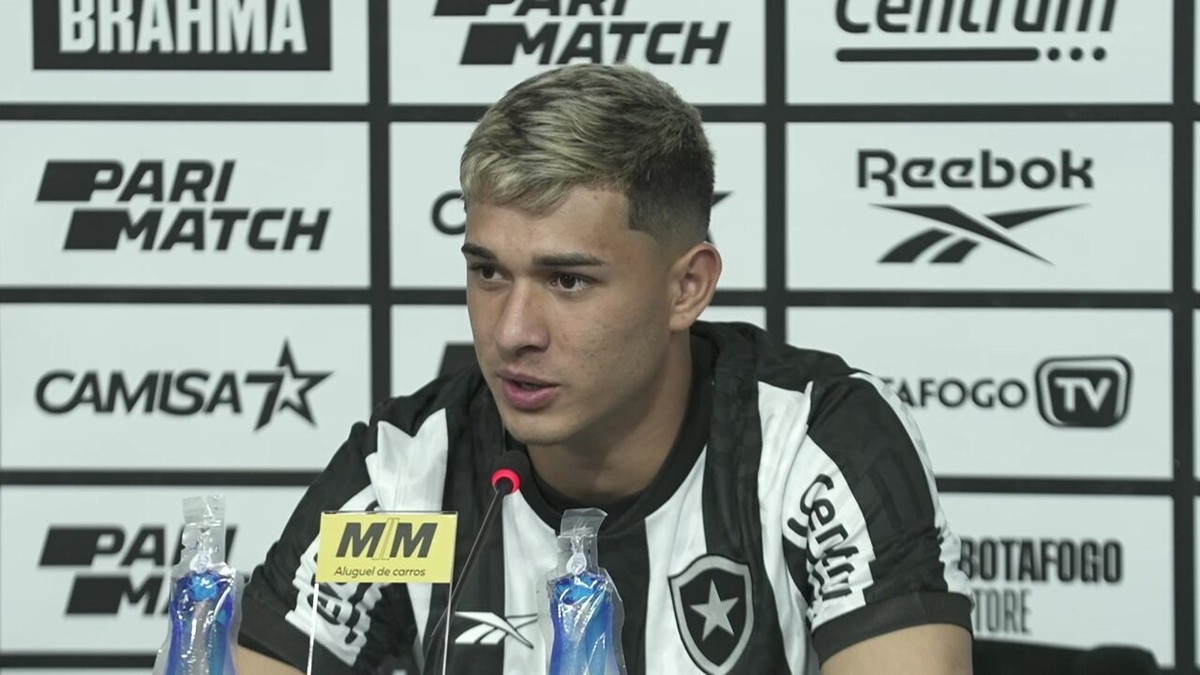 Presidente do Danubio afirma que ida de Mateo Ponte para Botafogo está 'por  detalhes' - Lance!