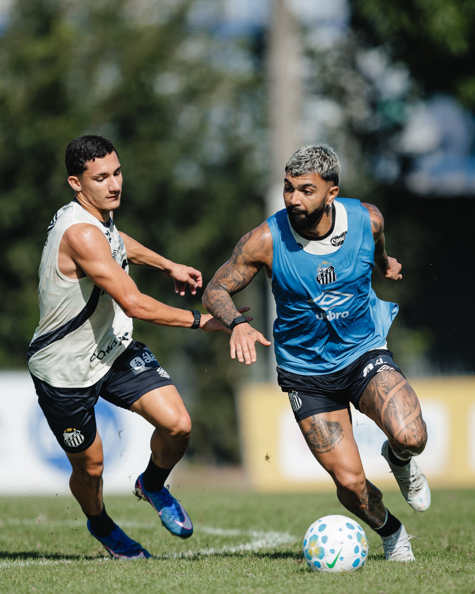 Jogo do Santos pela Sul-Americana muda de cidade na Venezuela