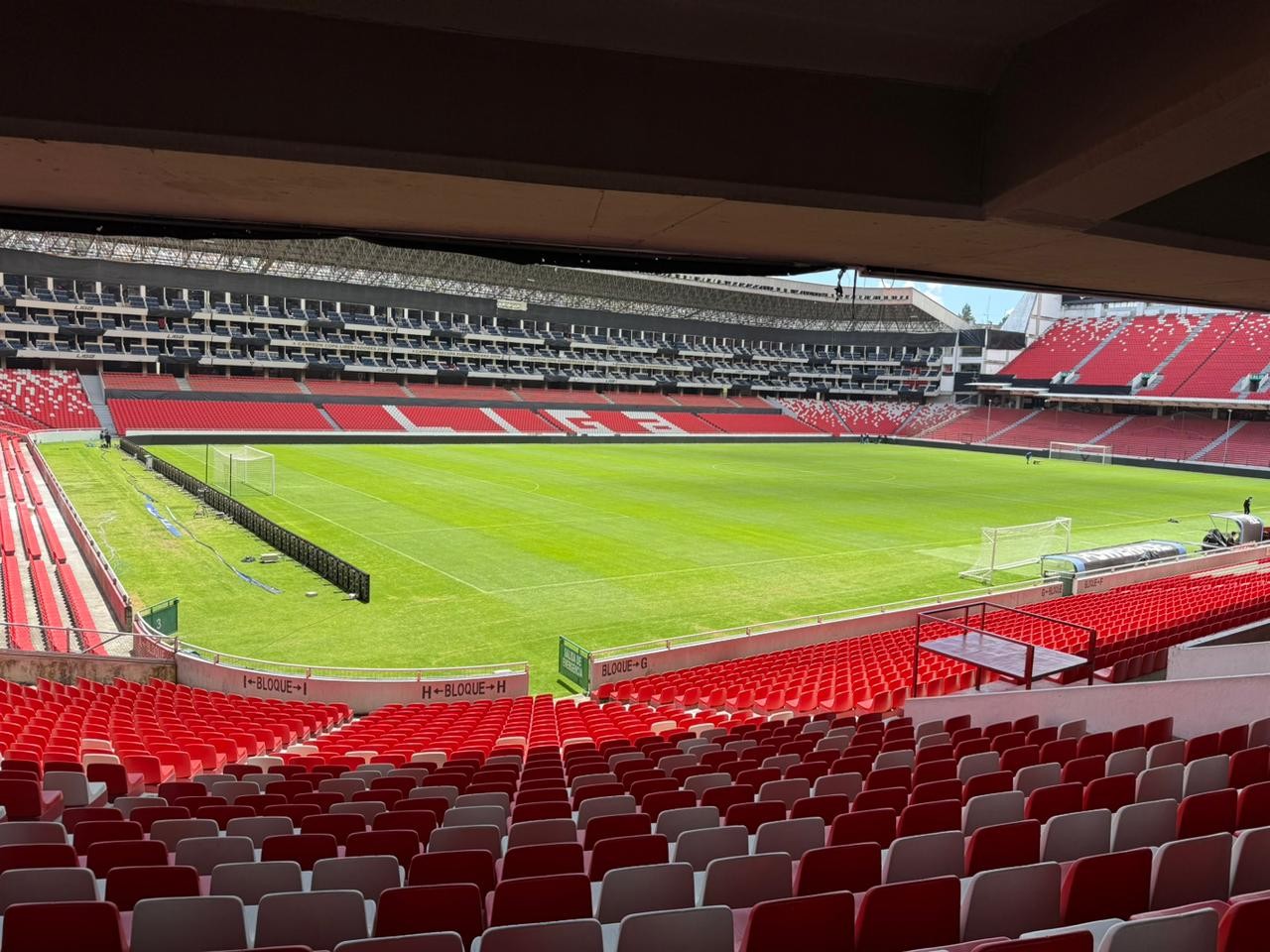 LDU recebe o Palmeiras em duelo decisivo; saiba onde assistir e as escalações confirmadas!