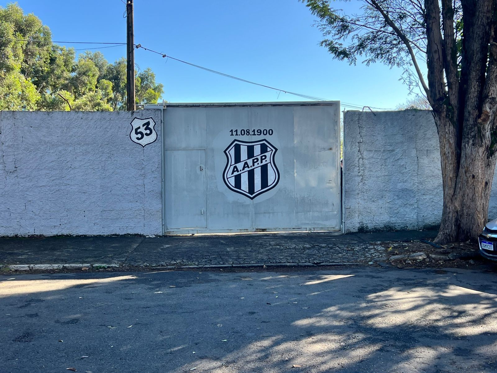 Elenco da Ponte volta aos treinos após paralisação; veja quem se apresentou e quem pode sair