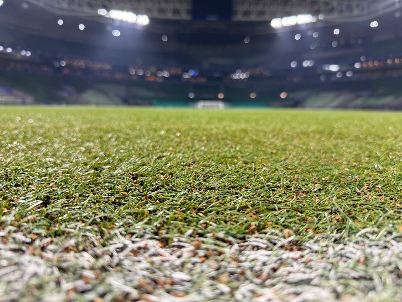 Palmeiras avança na troca do gramado do Allianz Parque; novos custos e prazos em debate