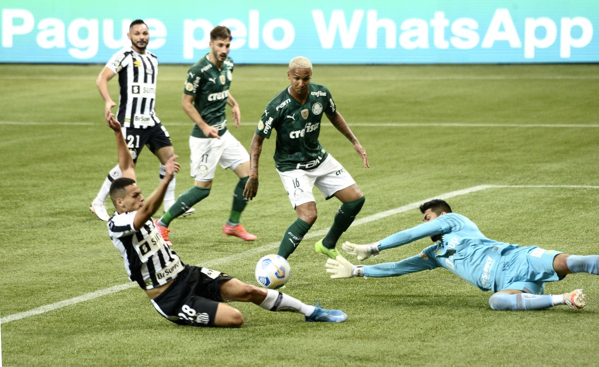 Relembre todos os jogos de invencibilidade do Palmeiras contra o Santos -  Nosso Palestra