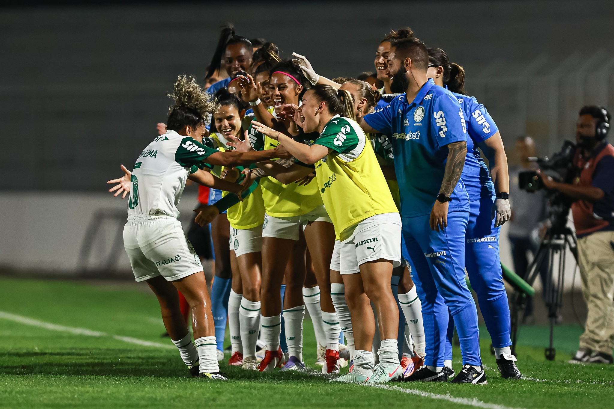 Palmeiras Feminino convoca torcida para treino aberto antes da grande final