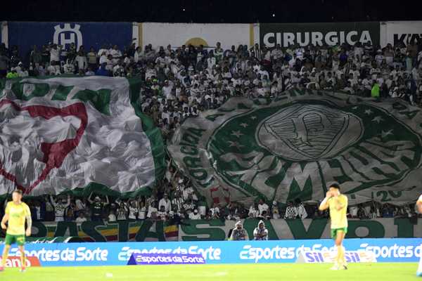 Ingressos para Partida do Palmeiras contra o Atlético-MG Esgotam na Torcida