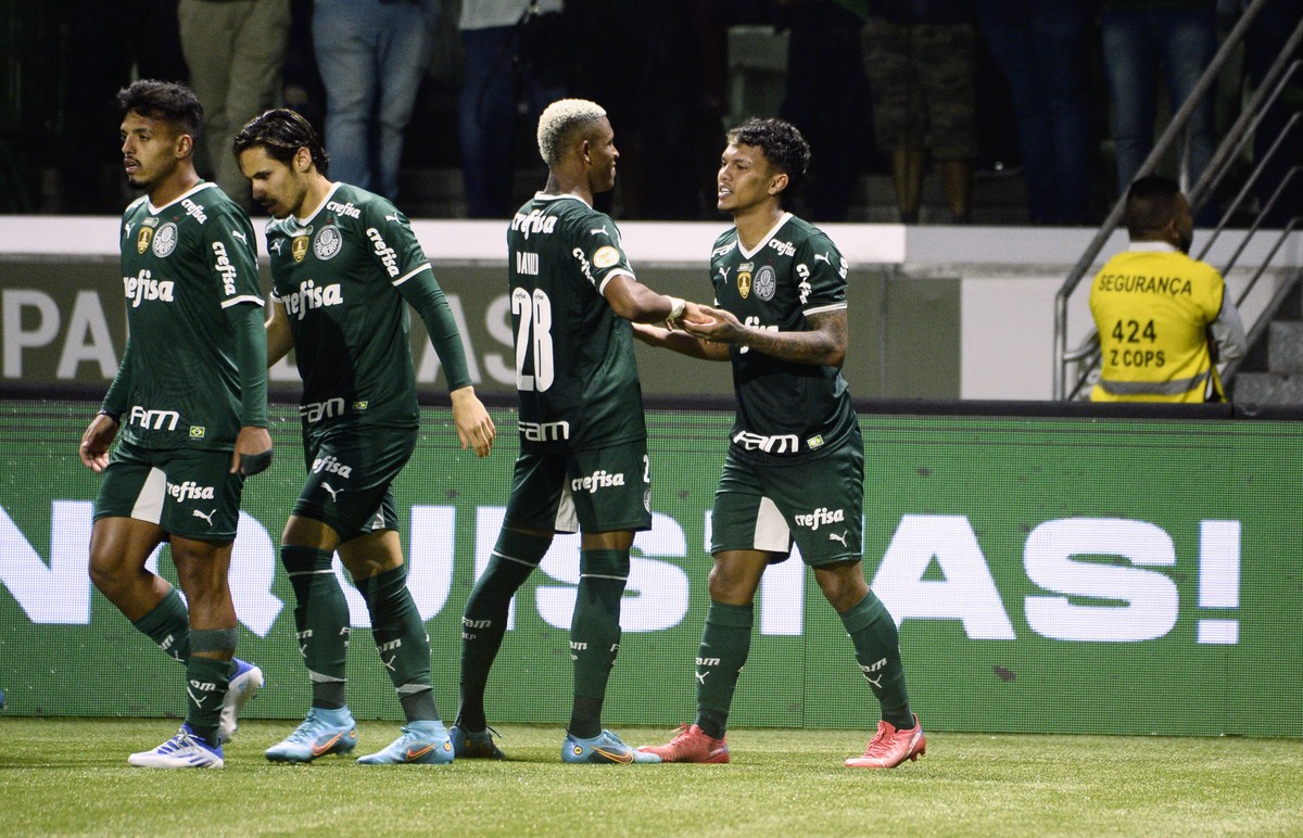 Palmeiras e São Paulo lideram jogos da TV Globo no Brasileirão; veja ganhos