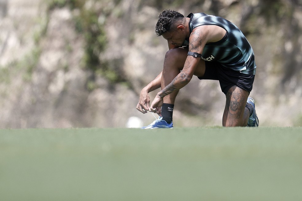 tiquinho soares, botafogo — Foto: Vítor Silva/Botafogo