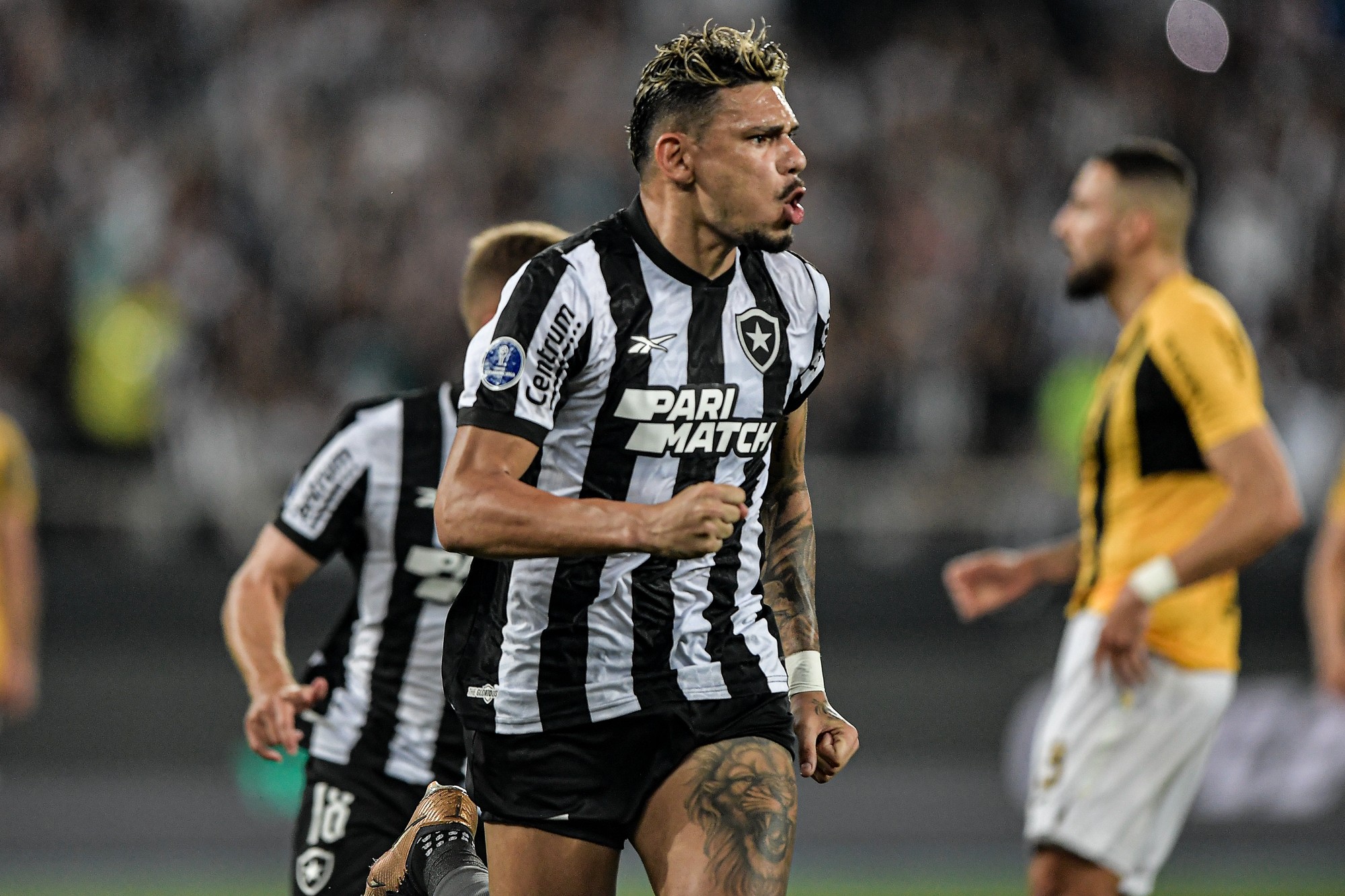 Botafogo volta a disputar a Sul-Americana após três anos | Ge