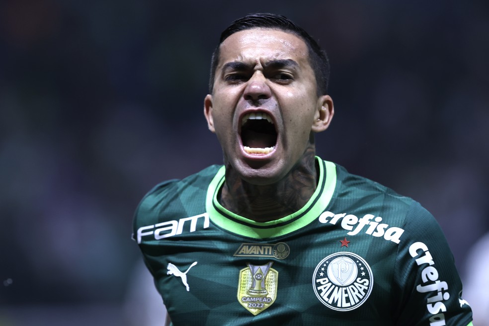 Dudu em Palmeiras x Flamengo — Foto: Agif